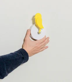 Birdie® — Capteur de CO2