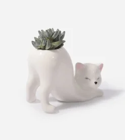 Cache-pot Chat Yoga