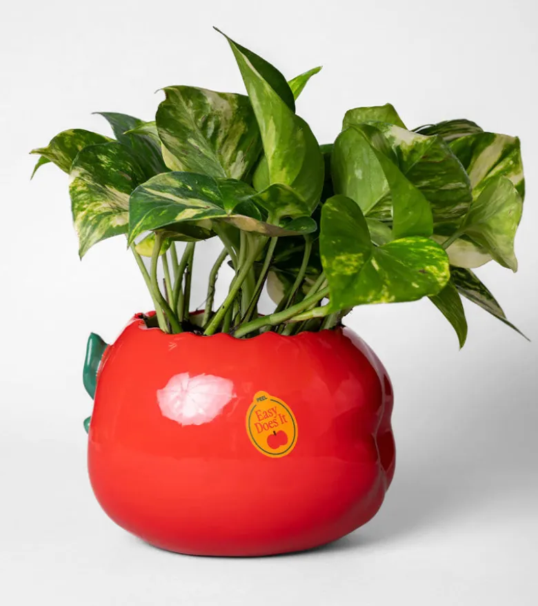 Cache-Pot pomme croquée