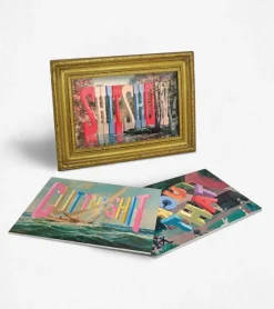 Cartes interchangeables - The Daily Shitshow
