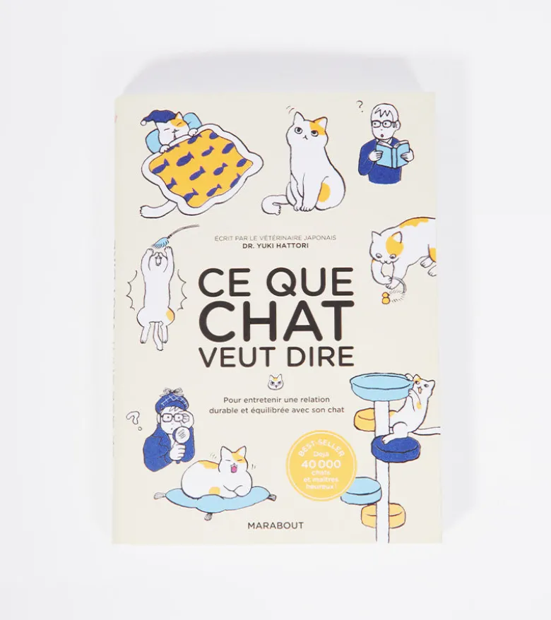 Ce que chat veut dire