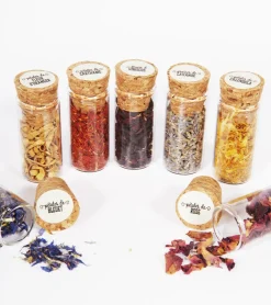 Coffret découverte 7 fleurs comestibles