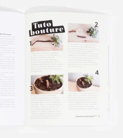Comment ne pas faire crever ses plantes