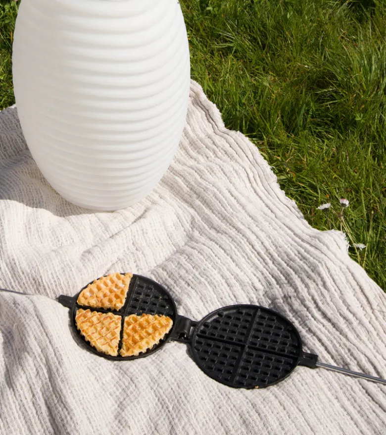 Gaufrier pour barbecue