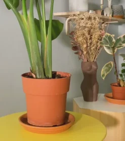 Gnome Terracotta irrigateur de plantes