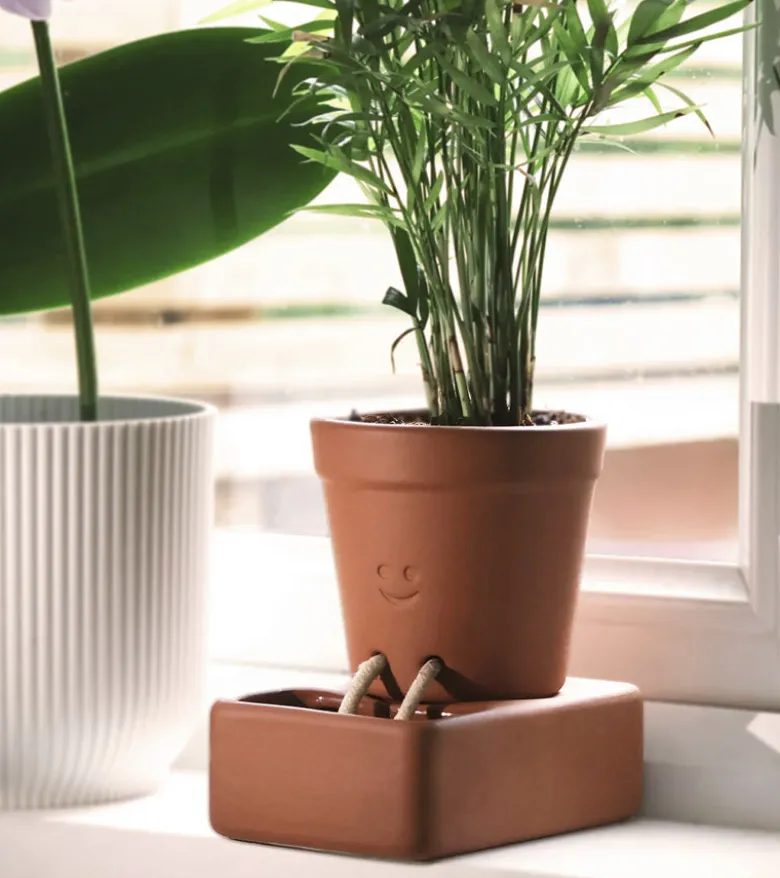 Jardinière autonome en eau