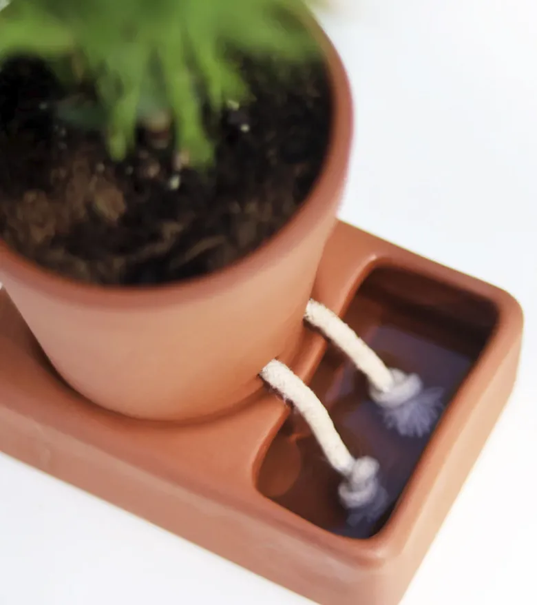 Jardinière autonome en eau