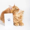 Kit d'empreintes pour chiens et chats