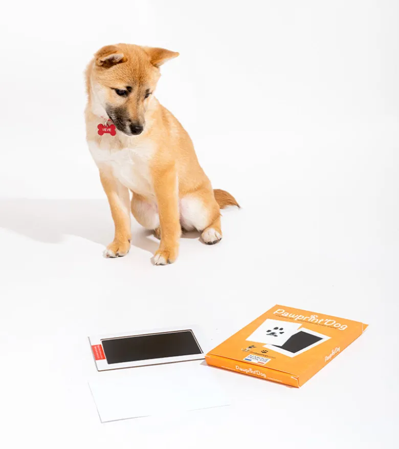Kit d'empreintes pour chiens et chats