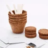 Kit de plantation pour bonsaï