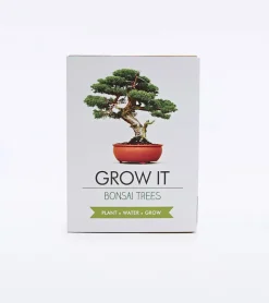 Kit de plantation pour bonsaï