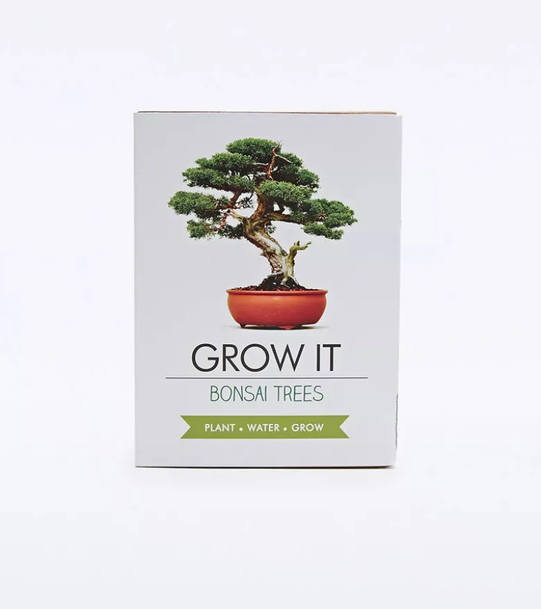 Kit de plantation pour bonsaï
