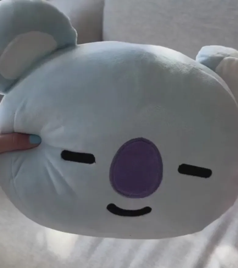 Les peluches-coussin BT21