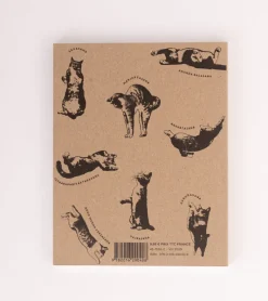 Le Yoga du Chat