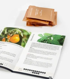Légumes insolites à faire pousser
