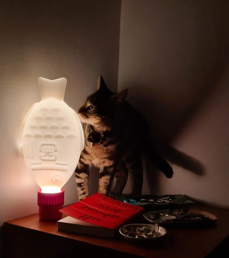 Light Soy, Lampe Portable