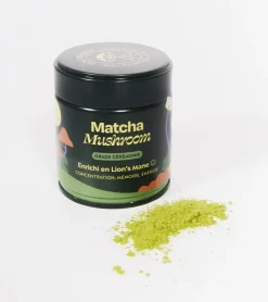 Matcha focus aux champignons adaptogènes