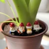 Mini gnomes de jardin effrontés