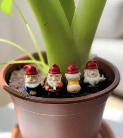 Mini gnomes de jardin effrontés