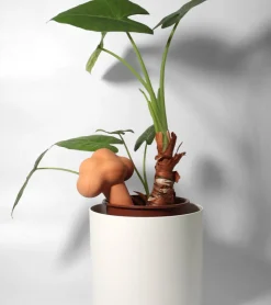 Nuage irrigateur en terre cuite