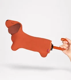 Parapluie Teckel