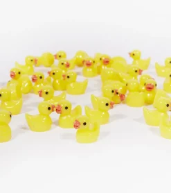 100 petits canards