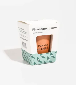 Piment Ă faire pousser