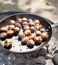 Poêle à châtaignes pour barbecue