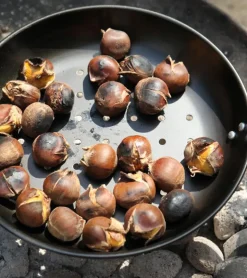 Poêle à châtaignes pour barbecue