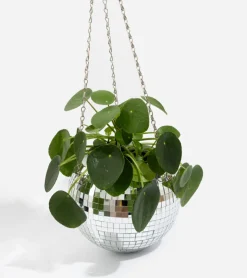 Pot de plantes disco boule à facettes