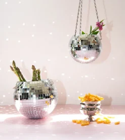 Pot de plantes disco boule à facettes