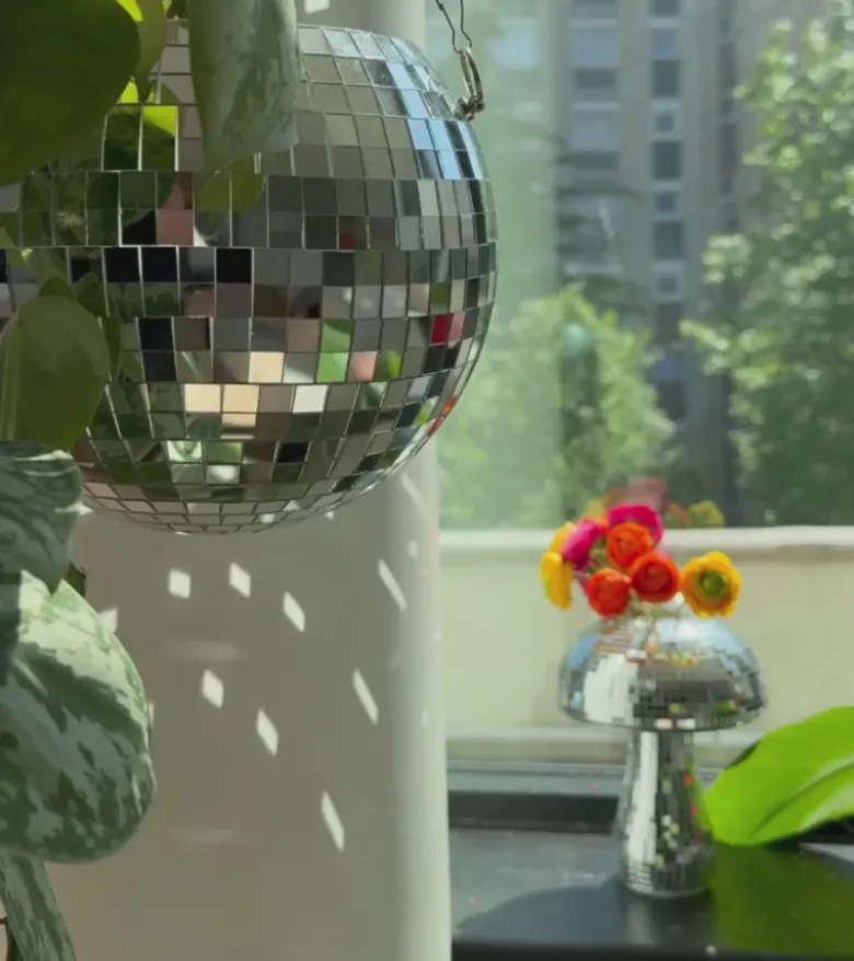 Pot de plantes disco boule à facettes