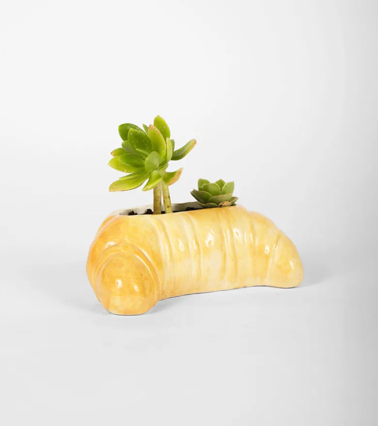 Pot à plante croissant