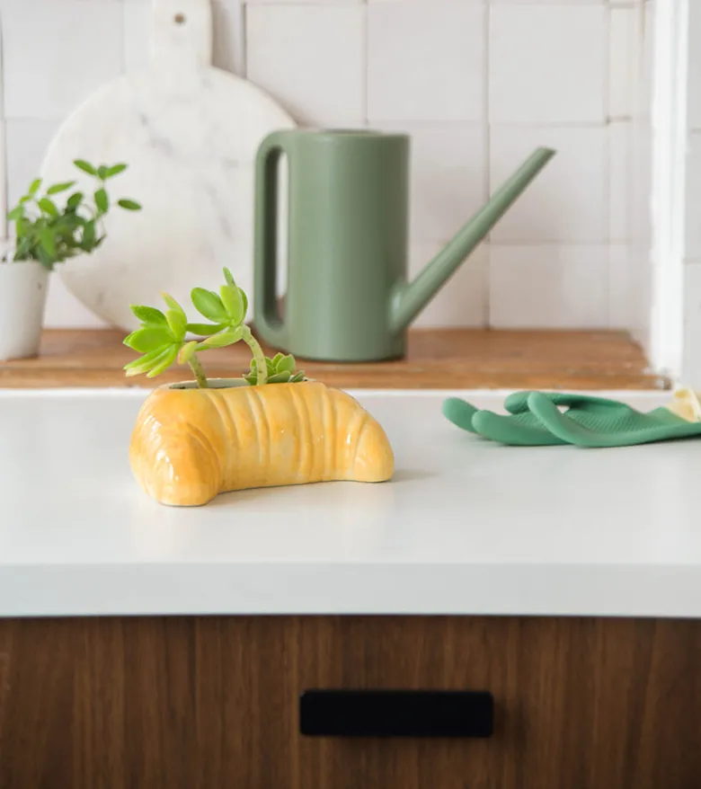 Pot à plante croissant