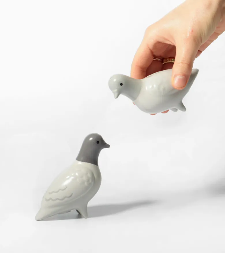 Salière et poivrière pigeons