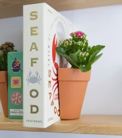 Serre-livres 2 en 1 / Pot à plantes