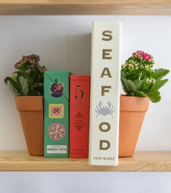 Serre-livres 2 en 1 / Pot à plantes