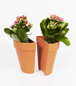 Serre-livres 2 en 1 / Pot à plantes