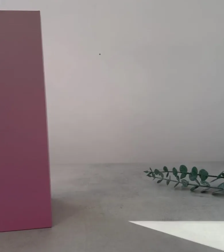 Set de deux verres - La vie en rosé