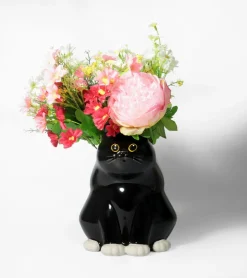 Vase chat dodu