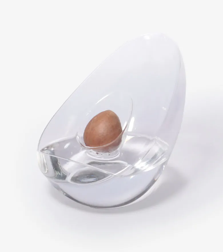 Vase pour noyau d'avocat