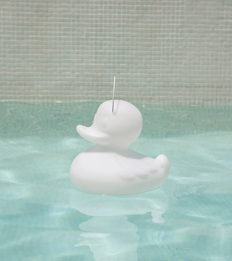 Veilleuse canard flottante