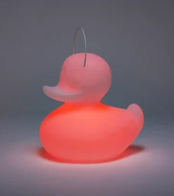 Veilleuse canard flottante