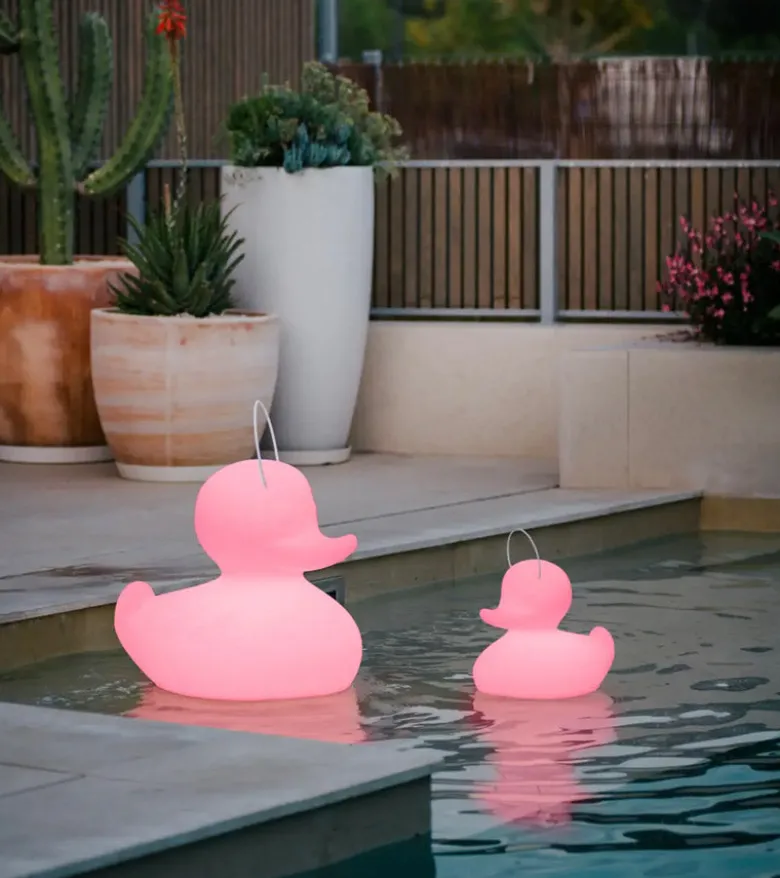 Veilleuse canard flottante