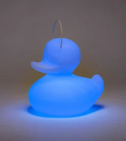 Veilleuse canard flottante
