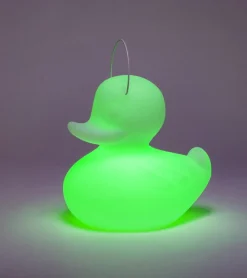 Veilleuse canard flottante