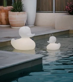 Veilleuse canard flottante
