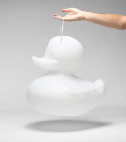 Veilleuse canard flottante