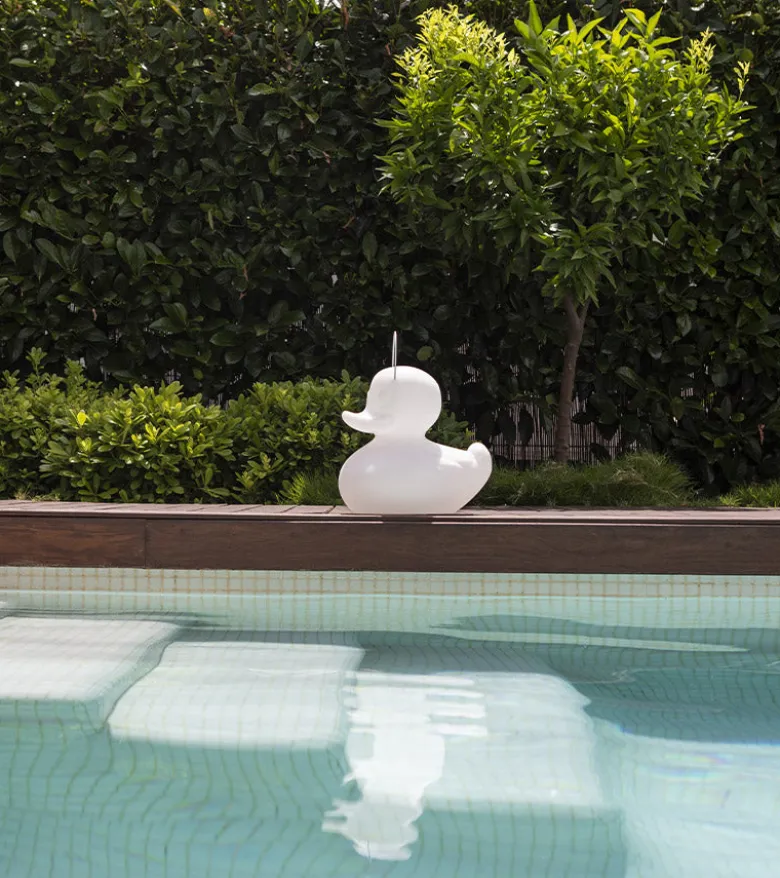 Veilleuse canard flottante