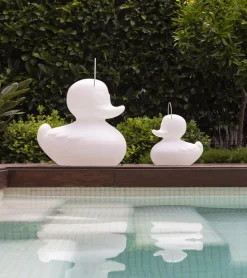 Veilleuse canard flottante